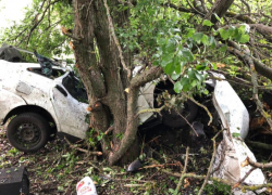 Опубликованы фото с места ДТП с двумя погибшими под Воронежем