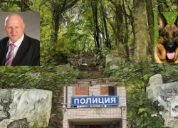 Воронежского депутата Николая Бунеева за избиение врача привлекли к уголовной ответственности