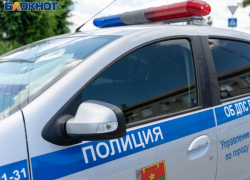 Воронежец попытался откупиться от полицейских, потом чуть не задавил их, угоняя служебное авто, и отделался условкой 