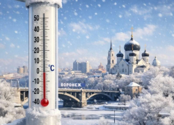 Арктический холод атакует Воронеж накануне праздников 