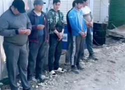 Увеличение числа иностранных трудовых мигрантов прогнозируют в воронежском правительстве