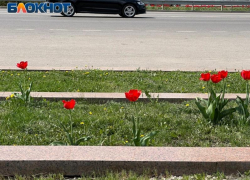 «Скоро будет пройден рубеж»: синоптик рассказал, когда потеплеет в Воронежской области