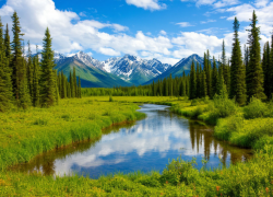 День Сибири: регион, который формирует характер России