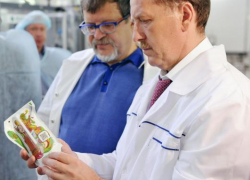 Губернатор Гордеев и депутат Госдумы Пономарев открыто занимаются бизнесом