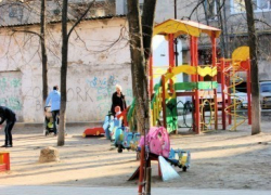 Экс-мэр Сергей Колиух зря старался на субботнике: посаженное дерево сломали дети