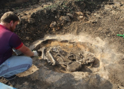 Захоронение эпохи бронзы обнаружили археологи в Воронежской области