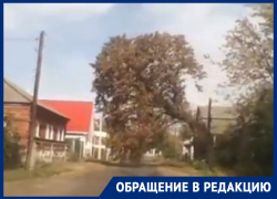 Обман собственной смерти снял автомобилист в Воронежской области 