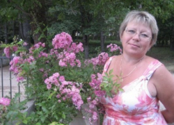 Референт губернатора Гусева скрылась в теплицах «Родины»