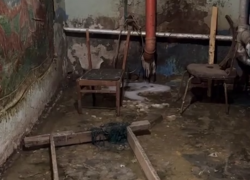 Трофима и Стаса Михайлова затапливает фекалиями в воронежском подвале