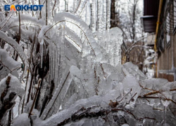 Причудливые фигуры из сосулей на крышах домов поразили воронежского фотографа 