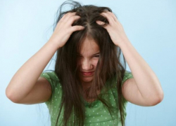 Воронежскую школу атаковали агрессивные вши