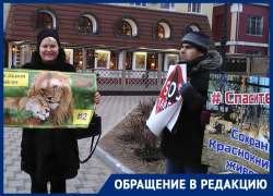  Воронежцы вышли на пикет ради львов и тигров из крымского сафари-парка