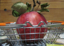 Компании, оставшейся без рекордной страховки в 204 млн рублей, грозит банкротство в Воронеже