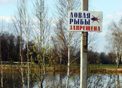 Воронежцы полтора месяца не смогут ловить рыбу и кататься на лодках 