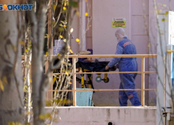 Трехлетний мальчик погиб при атаке украинских БПЛА на Воронежскую область