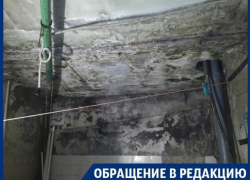 Нечеловеческие условия общежития могут убить воронежцев