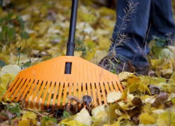 В Воронеже сотрудника сотовой компании наказали уборкой за слив информации