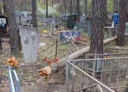 Ловкую схему на Юго-Западном кладбище раскрыл на видео воронежец