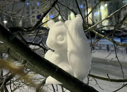 «Развлекались как могли»: воронежцы показали армию белок