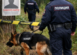  Где чаще всего пропадали люди в Воронеже