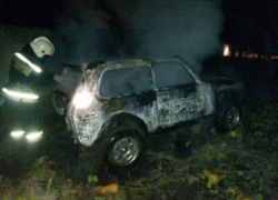 Прошедшей ночью в Левобережном районе Воронежа сгорел автомобиль «Нива»