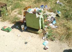 Бесхозный двор воронежской многоэтажки превратился в свинарник