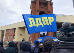 Пять причин голосовать за ЛДПР. Вторая причина: ЛДПР знает, как поднять страну