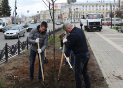 Мэрия Воронежа рассказала, как градоначальник чистил столицу Черноземья