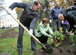 Посадит ли и.о. мэра Воронежа Геннадий Чернушкин свое первое дерево на приближающемся субботнике?