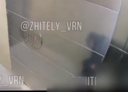 Девушка справила нужду в лифте и попала на видео в Воронеже 