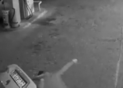 Жестокая драка на воронежской заправке попала на видео