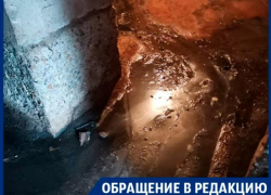 Бескрайний фекальный океан разлился в подвале воронежского дома