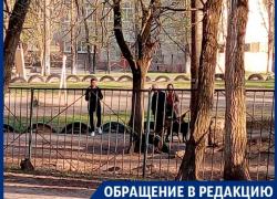 На собачью осаду школы пожаловались воронежцы 