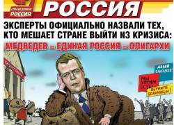 "Справедливую Россию" могут снять с выборов в Воронеже за карикатуру