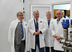 Воронежская молочная отрасль вышла победителем из-под санкционного давления 