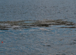 4-летняя девочка утонула в пруду из-за пьяных родителей в Воронежской области