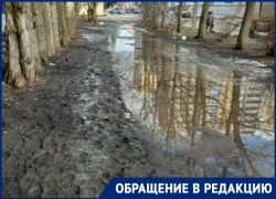 Грязевые топи в Воронеже стали непреодолимым препятствием для горожан