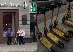 Вместо подснежников: в Воронеже с приходом тепла зацвели бутоны самокатчиков