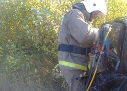 В ДТП в Воронежской области столкнулись две легковушки: пострадали люди