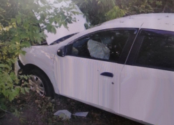 Опубликовано фото тарана дерева иномаркой в Воронеже