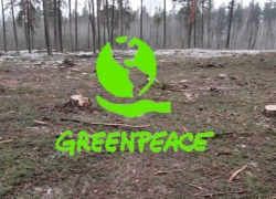 «Greenpeace» о ситуации в заказнике: «Блокнот Воронеж» поднял целый комплекс важных проблем!»