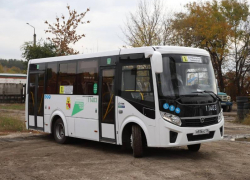 Об убытках воронежского автобусного перевозчика рассказали аудиторы