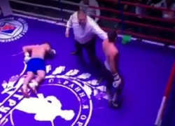 Жесткий нокаут на турнире по боксу в Воронеже попал на видео 