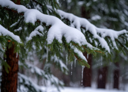Зима сдает позиции: погода готовит воронежским дорогам неприятный сюрприз