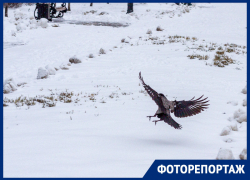 Ждём оттепель: как выглядит Воронеж в последний день зимы