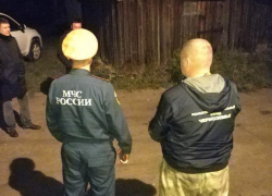 Заблудившийся в воронежском лесу грибник нашелся живым