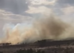 Гигантский пожар на окраине Воронежа сняли на видео