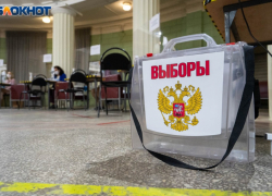 100 дней до выборов: названы ближайшие избирательные кампании в Воронежской области