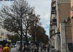 Жители Воронежской области спалились на богатстве