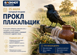 Секрет Прокловых рос: как воронежцам умыться и исцелиться в субботу